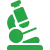 assessment-icon